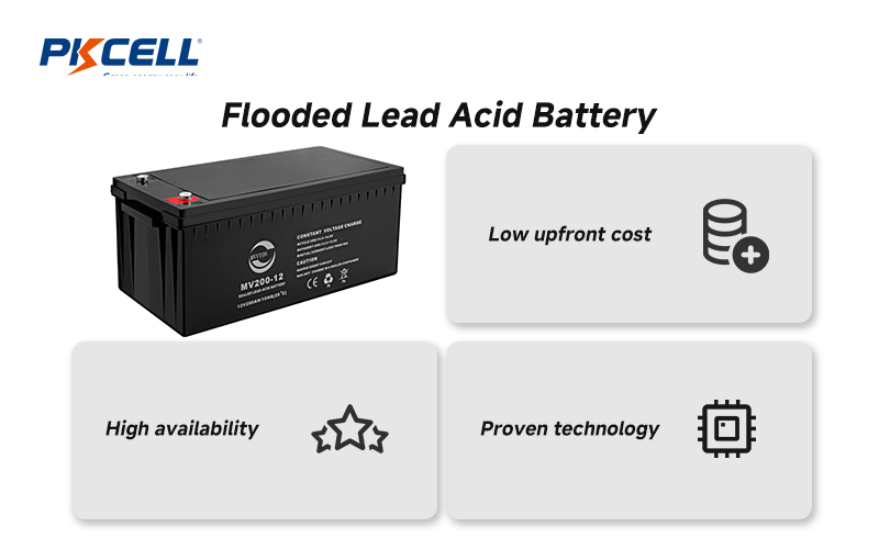 PKCell Flooded Lead Acid Battery