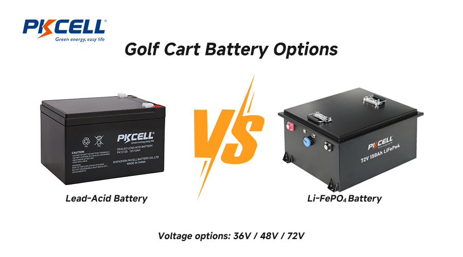 Golf cart battery options