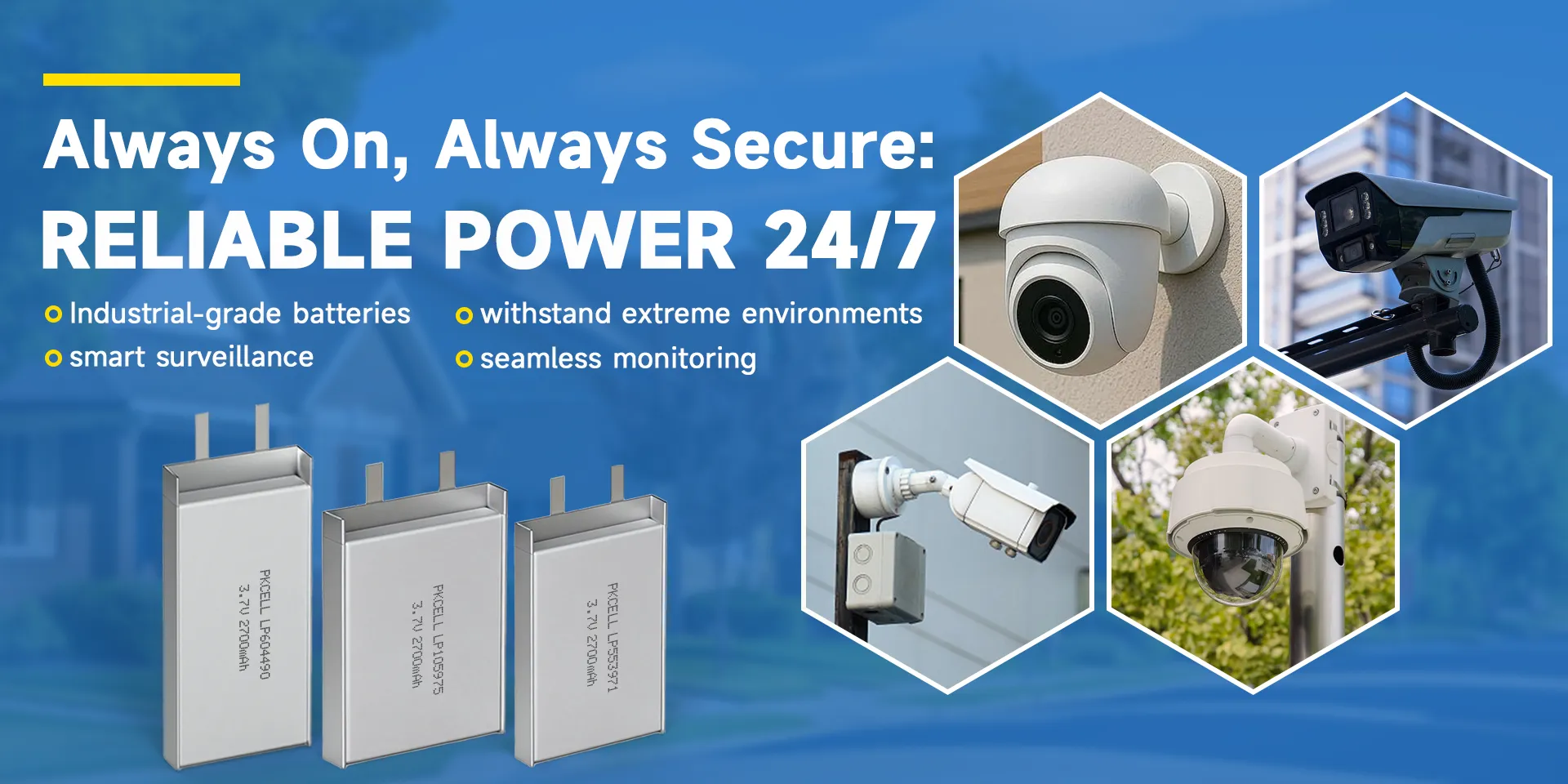 Security surveillance